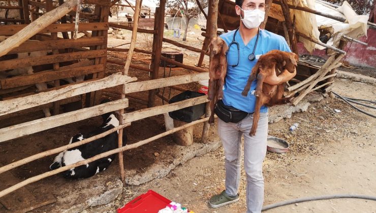 Ümraniye Belediyesi Veteriner Ekipleri Antalya’da çalışmalara başladı