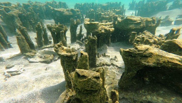 Van Gölü’nde yeni mikrobiyalitler keşfedildi