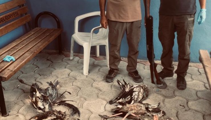 Yaban hayvanlarını avlayanlara ceza