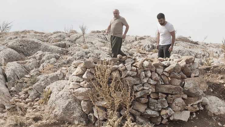 Yaban keçilerini yasadışı olarak avlamak için kurulan evsinler imha edildi
