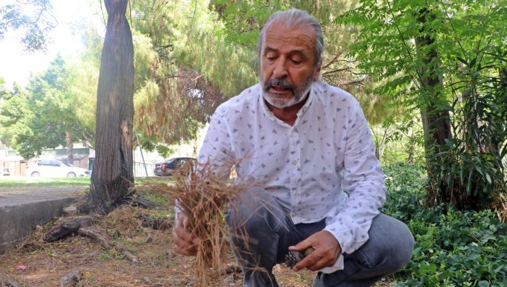 Yangın Ekolojisi Uzmanı açıkladı