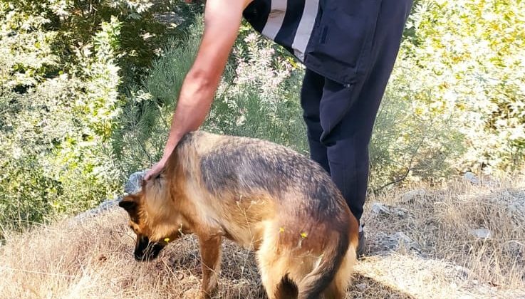 Yangın görevlisi, yemeğini köpekle paylaştı