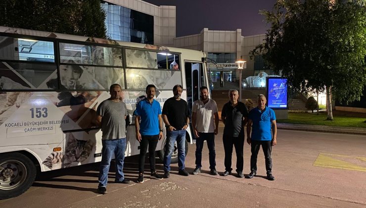 Yangından etkilenen hayvanları büyükşehir tedavi edecek