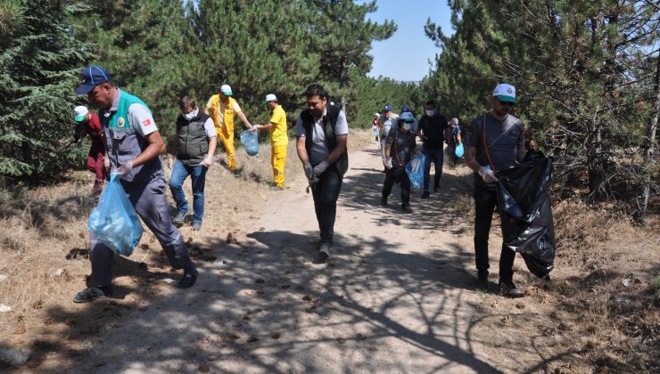 Yangınları söndüren kahramanlar ayaklarının tozu ile ormanlarda temizlik yaptı