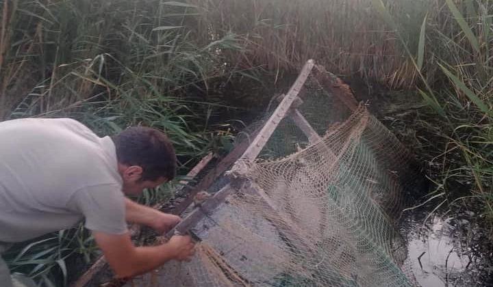 Yasa dışı avcılıkta kullanılan ördek kafesleri imha edildi