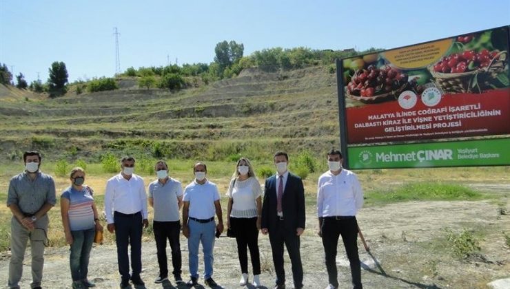 Yeşilyurt’ta kiraz ve vişne üretimi artacak
