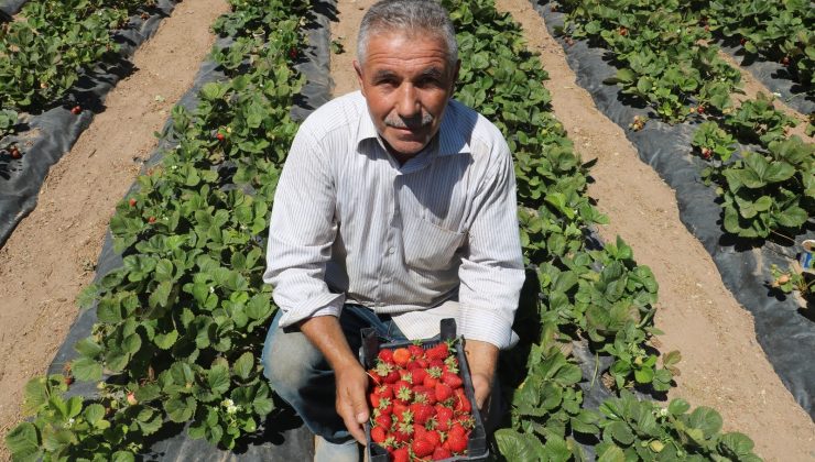 Yetiştiremezsin dediler, şimdi taleplere yetişemiyor