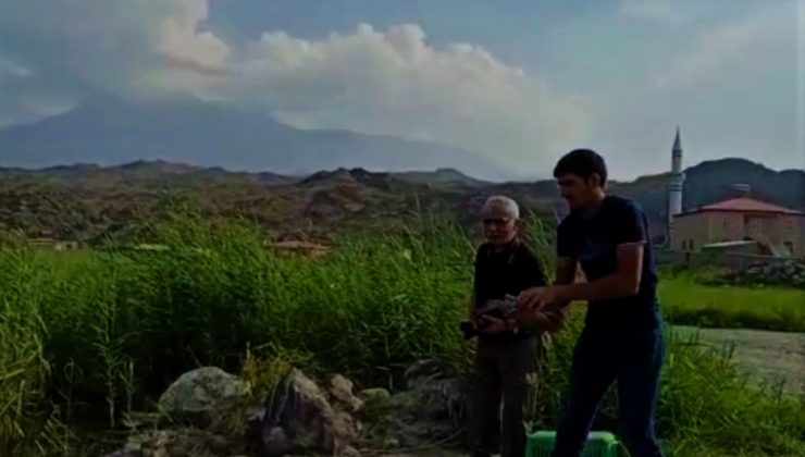 Yol üzerinde bulunan Macar ördeği doğaya bırakıldı