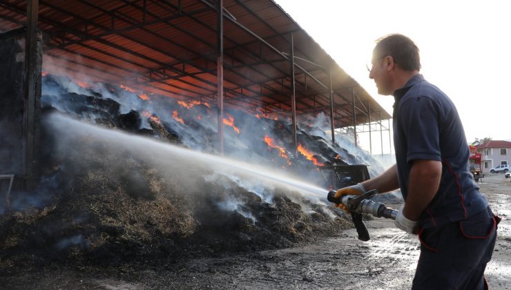 10 bin balya saman kül oldu