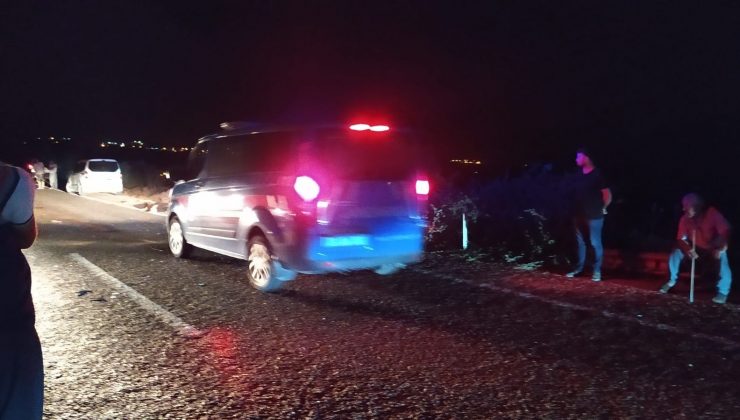 10 koyunun telef olduğu kazada 2 kişi yaralandı