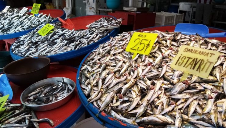 Levreğin kilosu 150 liradan satıldı