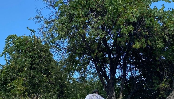 5 Çocuk babası ağaca asılı halde bulundu