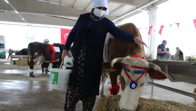 AGROTEC Tarım Fuarı’nda Süt Sağma Yarışması