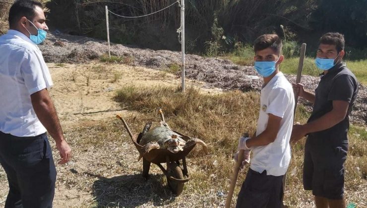 Ağzında poşetle kıyıya vurdu