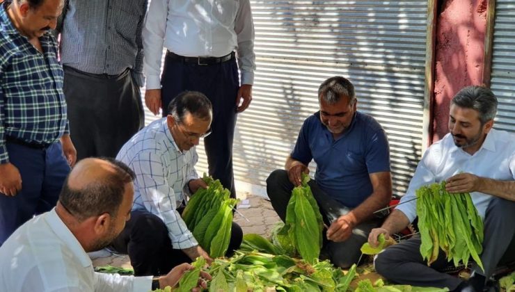 AK Parti heyeti Kahta’nın merkez ve köylerini gezdi