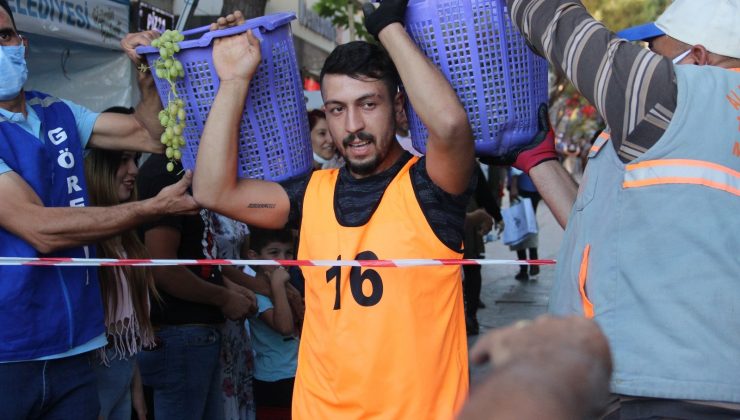 ’Alaşehir Kelter çekme’ yarışmasında renkli görüntüler