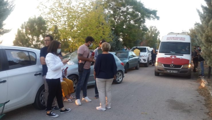 Ankara’da yol kenarına bırakılan 50 yavru köpekten 20’si telef oldu