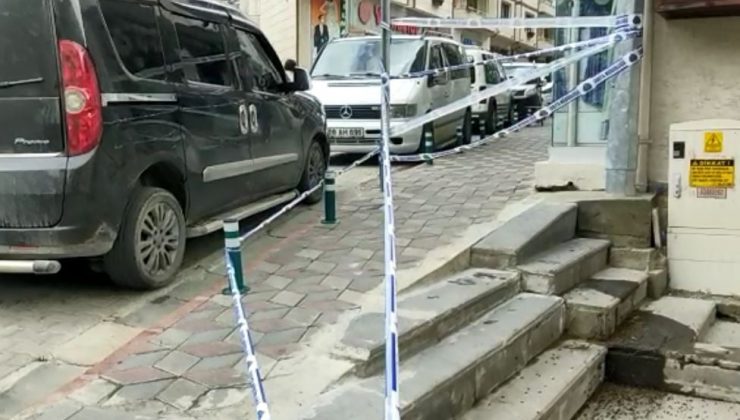 Artvin’de caddeyi arılar bastı