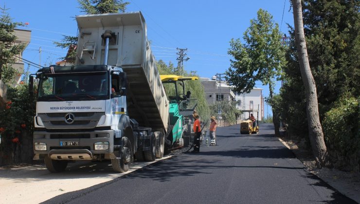 Ayvagediği yaylasının yollarına düzenleme