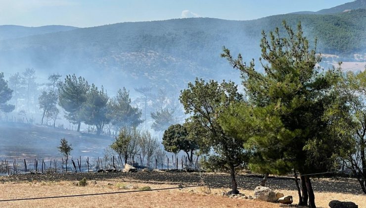 Bakan Pakdemirli: “Çanakkale’deki orman yangını kontrol altına alındı”