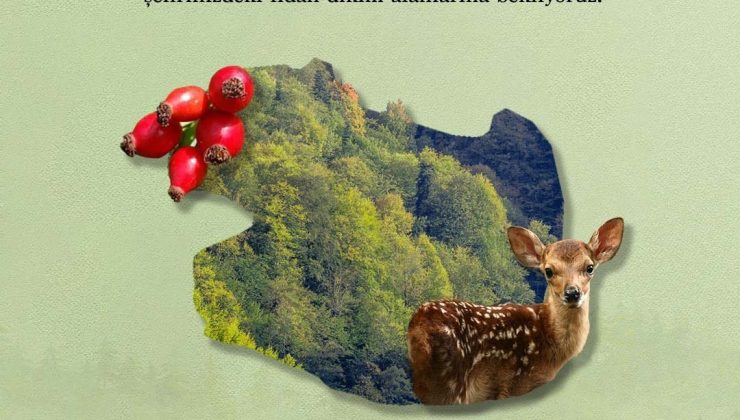 Bakan Pakdemirli’den fidan dikme çağrısı