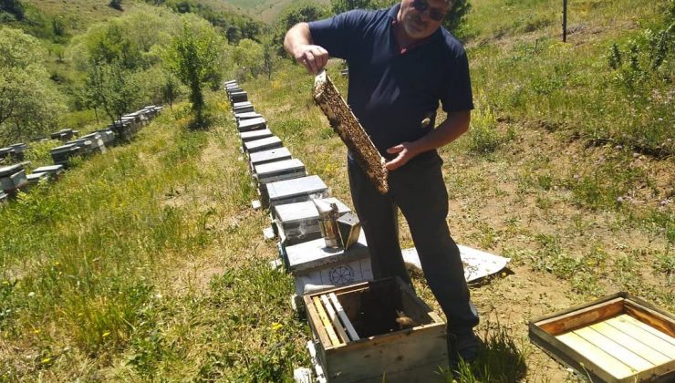 Bal üretiminde önemli düşüş