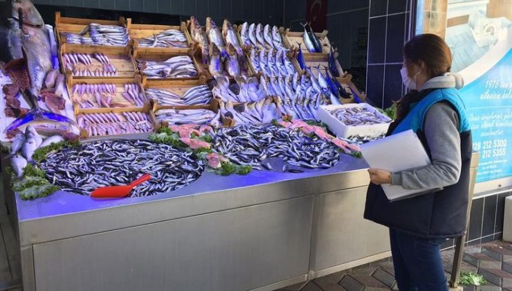 Balık satışı yapan yerler denetlendi