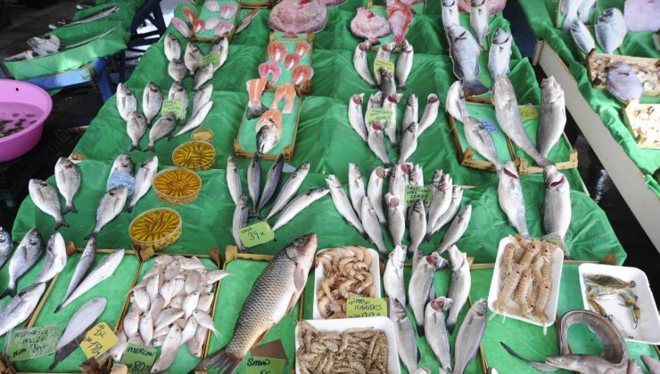 Balık tezgahlarında çeşit var, bolluk yok