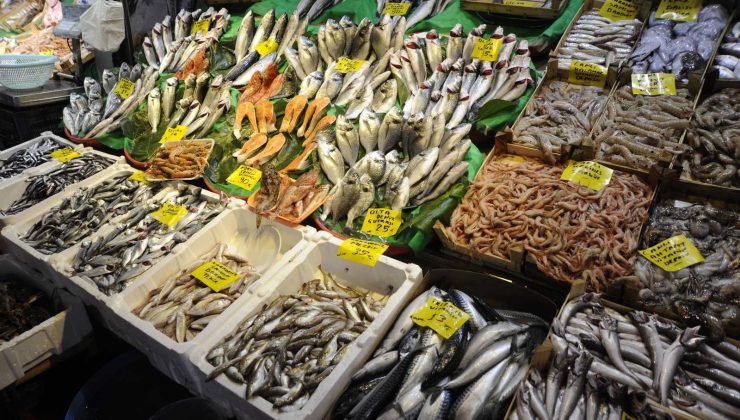 Balık tezgahlarında lüfer bolluğu