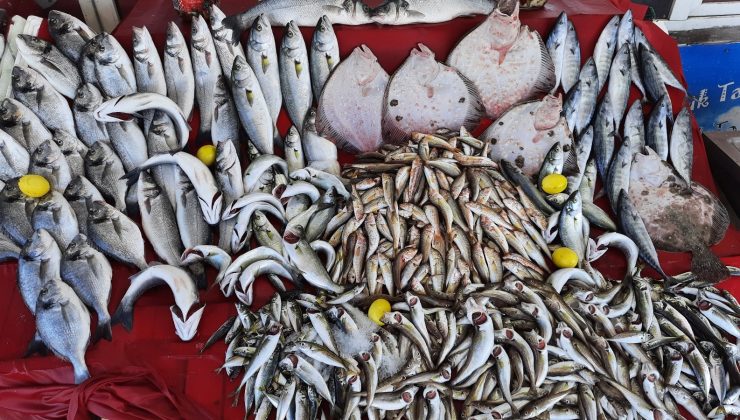 Balıkçılar umudunu hamsiye bağladı