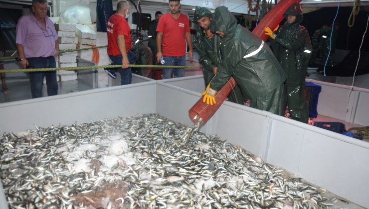 Balıkçılar ‘Vira Bismillah’ dedi, denizden istavrit fışkırdı
