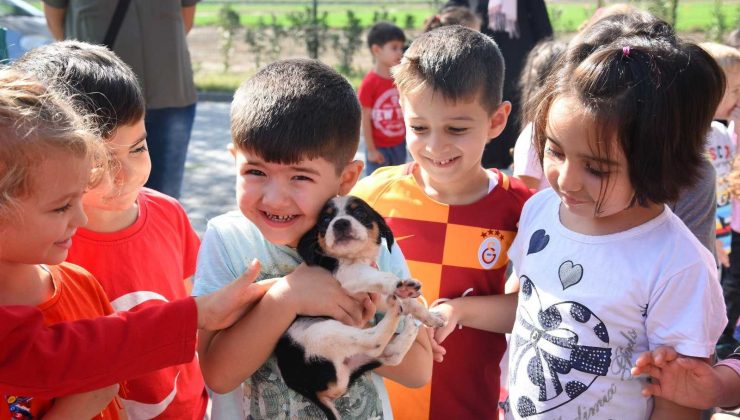 Balıkesir Büyükşehir’den sokaktaki canlar için aileye katılma hareketi