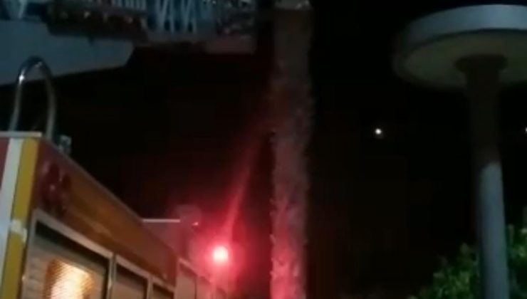 Balıklıgöl’de kedi kurtarma operasyonu