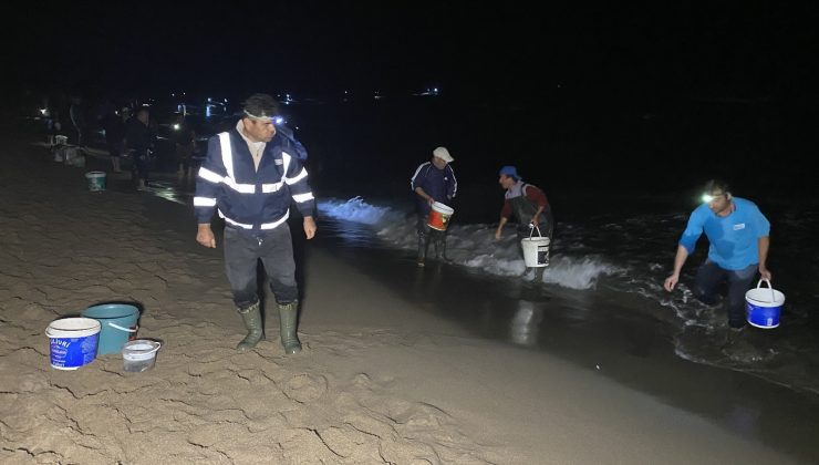 Bartın’da balıklar sahile vurdu