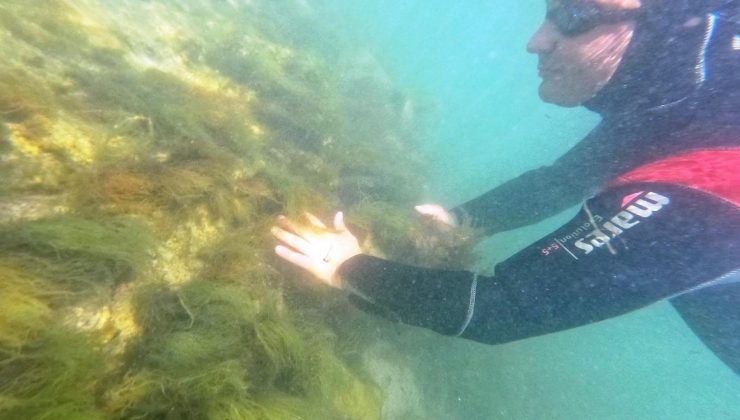 Başkan Dr. Metin Oral, dalış yapıp arkeolojik çalışmaları gözlemledi: