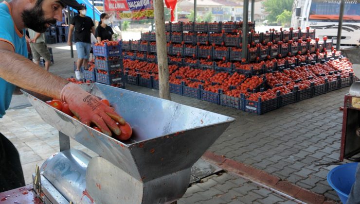 Belediye ‘Domates Pazarı’ alanı oluşturdu