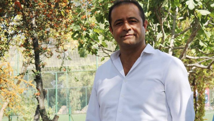 Belediye yangında zarar görmüş zeytin ağaçlarının sağlıklı gelişmesi için çalışıyor