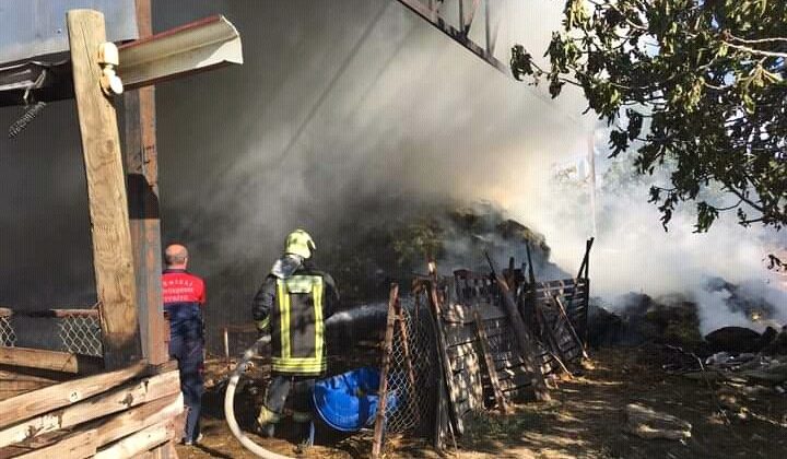 Besihane yangınında 80 kuzu telef oldu