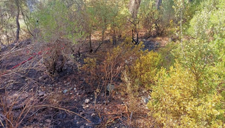 Beymelek’te çıkan orman yangın söndürüldü