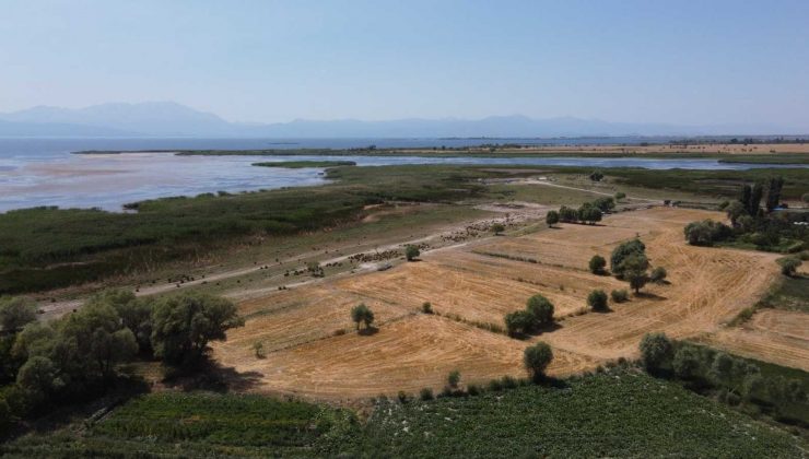 Beyşehir’de çiftçilere anız yakılmaması çağrısı