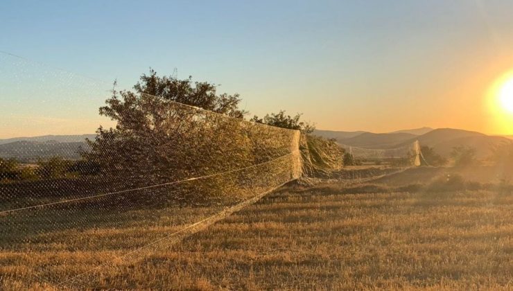 100 metrelik kaçak ağ çektiler