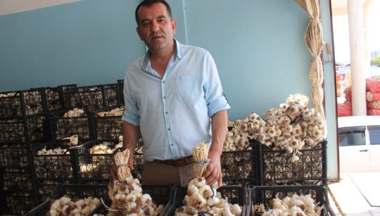 Bilinçsiz ilaçlama toplum sağlığını tehdit ediyor