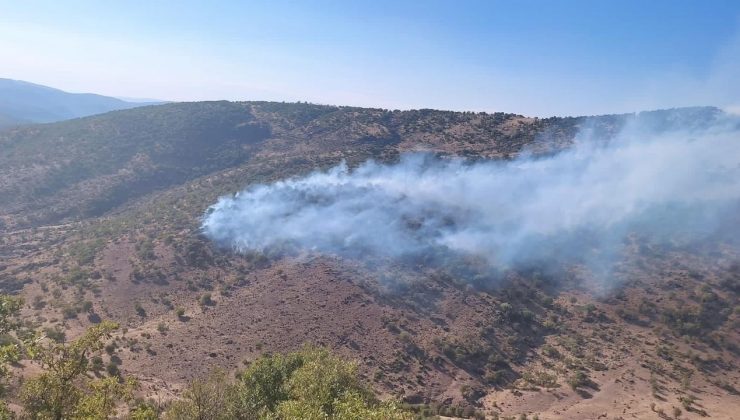 Bingöl’de 2 ayrı noktada çıkan orman yangını büyümeden söndürüldü