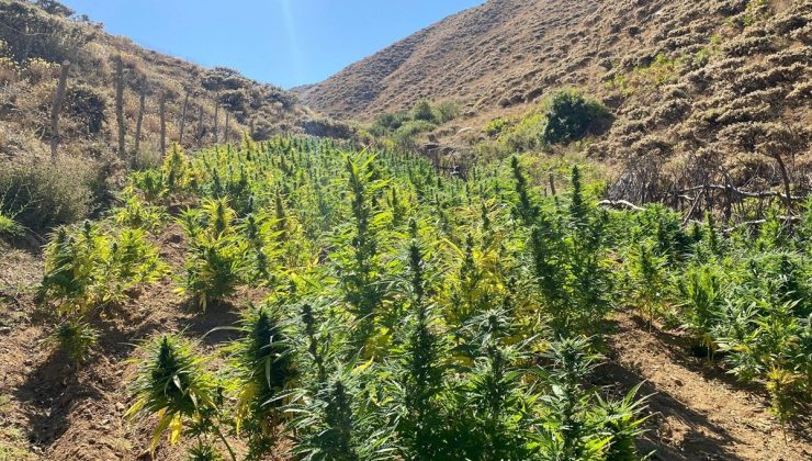 Bingöl’de  27 kilo esrar ele geçirildi