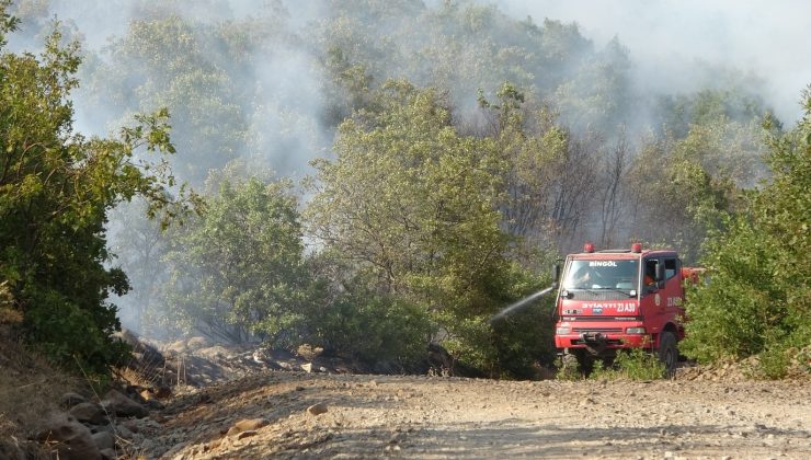 Bingöl’deki orman yangını kontrol altına alındı