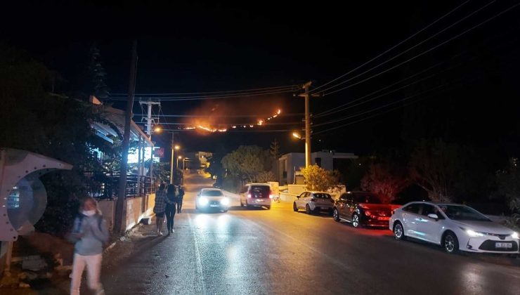 Bodrum’da 2 hektar alan yanında zarar gördü