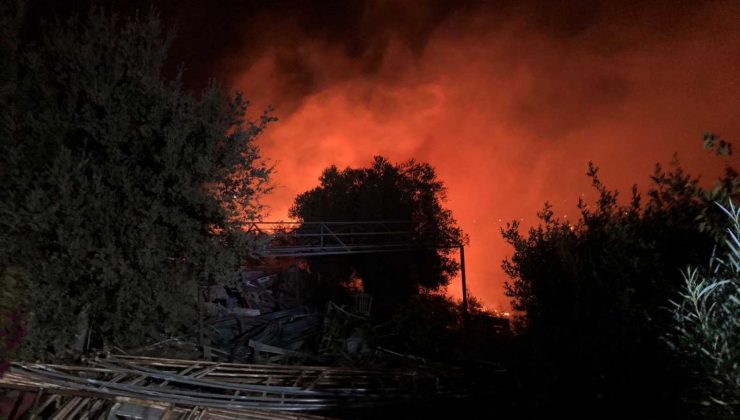 Bodrum’da makilik alanda yangın çıktı