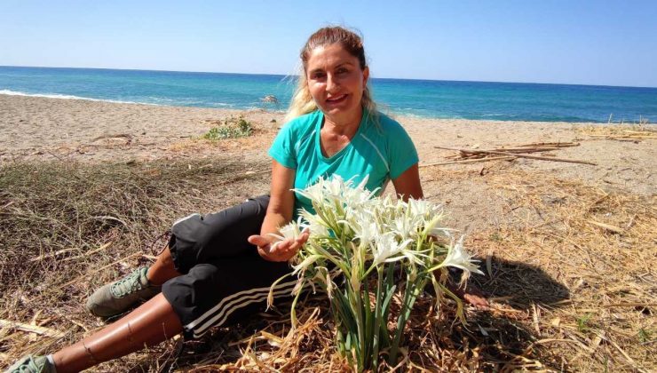 Bu çiçeği koparmak bir servete mal oluyor