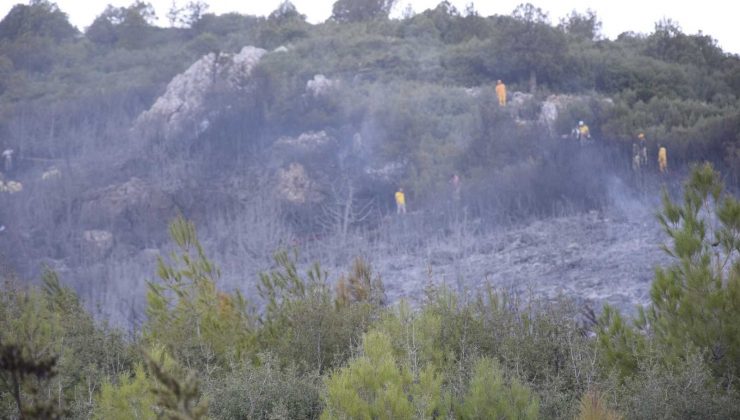 Bucak’taki orman yangını kontrol altına alındı