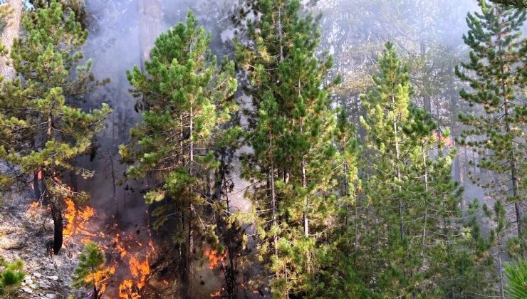 Burdur’daki orman yangını büyümeden söndürüldü